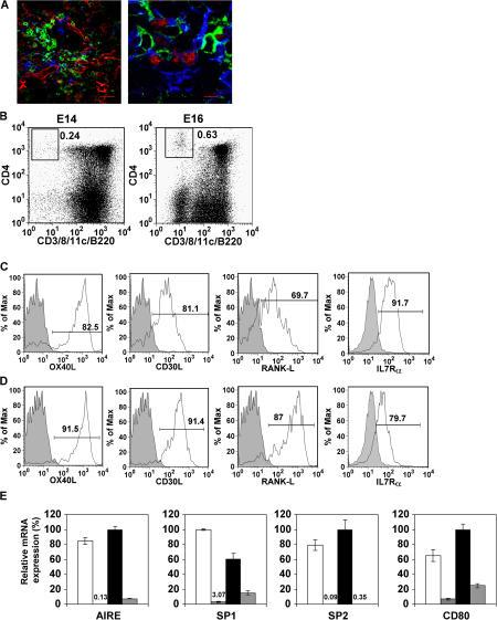 https://cdn.ncbi.nlm.nih.gov/pmc/blobs/181f/2118623/16bbd74c75b7/jem2041267f02.jpg