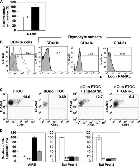 https://cdn.ncbi.nlm.nih.gov/pmc/blobs/181f/2118623/813f11cc28e7/jem2041267f04.jpg