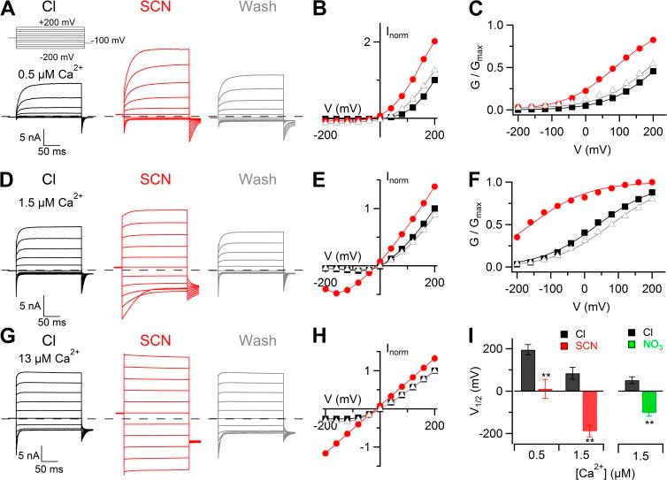 https://cdn.ncbi.nlm.nih.gov/pmc/blobs/181f/4035747/107373f6f9ea/JGP_201411182_Fig5.jpg