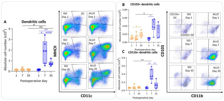 https://cdn.ncbi.nlm.nih.gov/pmc/blobs/1821/10854916/4292bb8e9bcf/cells-13-00241-g004.jpg