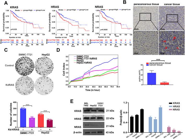https://cdn.ncbi.nlm.nih.gov/pmc/blobs/1822/12087391/2c592bf871c8/SMMD-4-e70005-g007.jpg