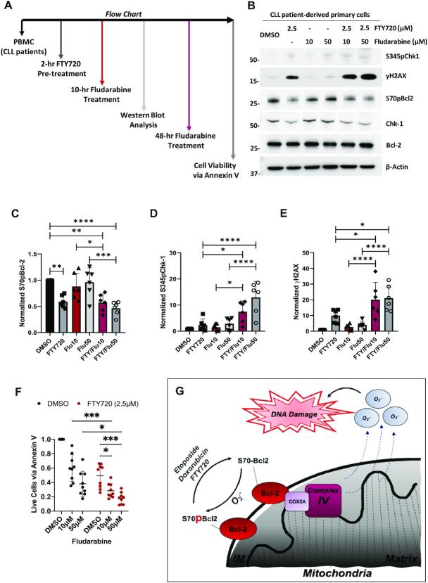 https://cdn.ncbi.nlm.nih.gov/pmc/blobs/1822/7736805/c5bded9cfc7c/gkaa1110fig7.jpg