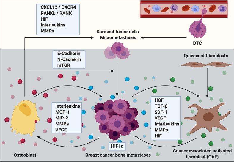 https://cdn.ncbi.nlm.nih.gov/pmc/blobs/1823/7082928/9a35b07e51c4/fonc-10-00335-g0002.jpg