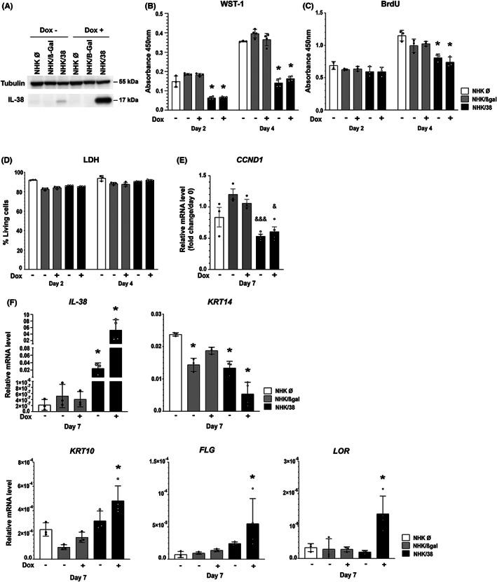https://cdn.ncbi.nlm.nih.gov/pmc/blobs/1823/9796879/5e59380eb6d1/EXD-31-1699-g001.jpg