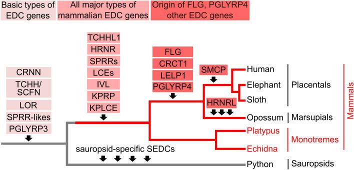 https://cdn.ncbi.nlm.nih.gov/pmc/blobs/1825/10791643/67c6a8aa9d57/41598_2024_51926_Fig7_HTML.jpg