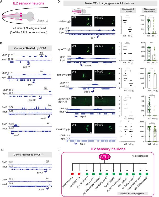 https://cdn.ncbi.nlm.nih.gov/pmc/blobs/1827/10124151/5ffa32e45ba9/nihms-1887289-f0003.jpg