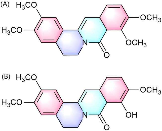 https://cdn.ncbi.nlm.nih.gov/pmc/blobs/1828/12331620/6a1fe44862dd/fphar-16-1624353-g004.jpg