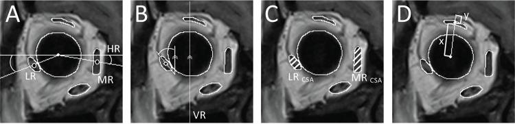 https://cdn.ncbi.nlm.nih.gov/pmc/blobs/182c/12111637/f9e4b149e614/pone.0324078.g001.jpg