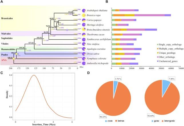 https://cdn.ncbi.nlm.nih.gov/pmc/blobs/182d/9197684/fc57994b8df2/giac050fig2.jpg