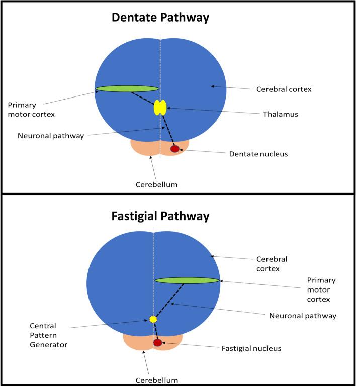 https://cdn.ncbi.nlm.nih.gov/pmc/blobs/1832/10006062/df0138481969/455_2021_10271_Fig1_HTML.jpg