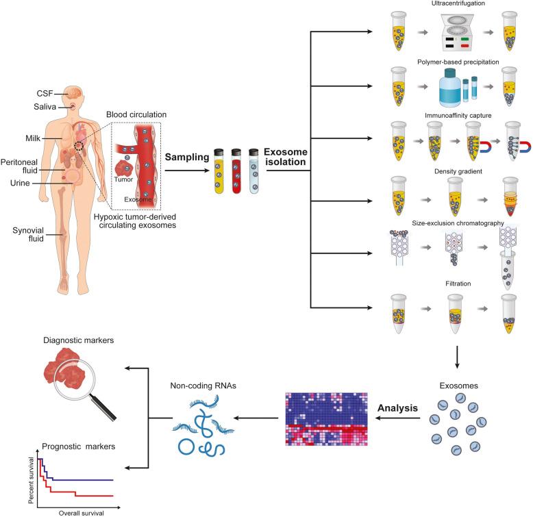 https://cdn.ncbi.nlm.nih.gov/pmc/blobs/1834/7275461/7a4a9375a3b3/13045_2020_893_Fig3_HTML.jpg