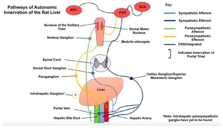 https://cdn.ncbi.nlm.nih.gov/pmc/blobs/1836/12027612/90b95f285889/jcm-14-02746-g002.jpg