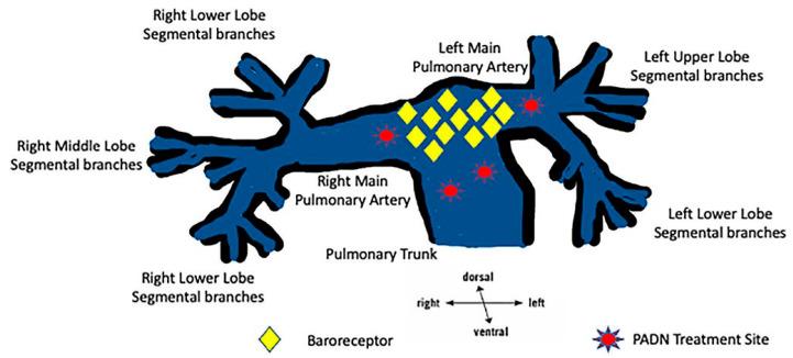 https://cdn.ncbi.nlm.nih.gov/pmc/blobs/1836/12027612/b080bfcd3469/jcm-14-02746-g004.jpg