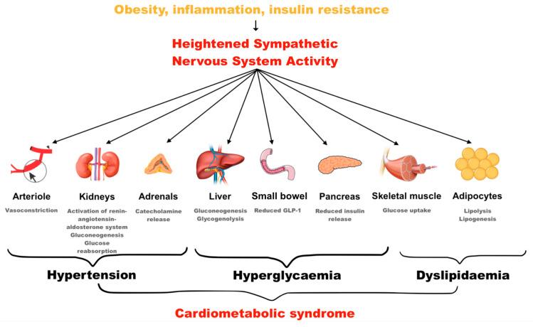 https://cdn.ncbi.nlm.nih.gov/pmc/blobs/1836/12027612/d4c3408a1d4e/jcm-14-02746-g001.jpg