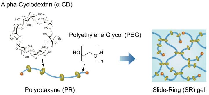 https://cdn.ncbi.nlm.nih.gov/pmc/blobs/1838/8293080/4de4e12dd268/gels-07-00091-g001.jpg