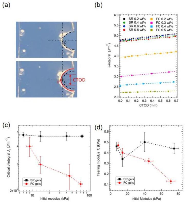 https://cdn.ncbi.nlm.nih.gov/pmc/blobs/1838/8293080/f4c2ebfd4c16/gels-07-00091-g012.jpg