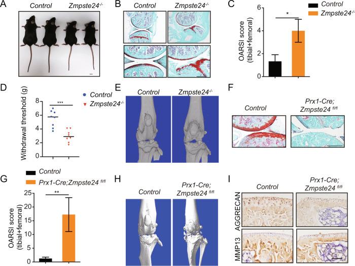 https://cdn.ncbi.nlm.nih.gov/pmc/blobs/183d/10203117/382e0fb4f974/41419_2023_5856_Fig2_HTML.jpg