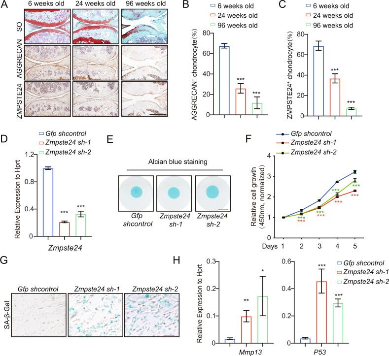 https://cdn.ncbi.nlm.nih.gov/pmc/blobs/183d/10203117/83ae186d3d9e/41419_2023_5856_Fig1_HTML.jpg
