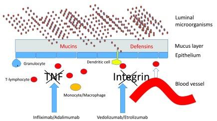 https://cdn.ncbi.nlm.nih.gov/pmc/blobs/183e/5271584/b9f9b000defc/f1000research-5-10661-g0000.jpg