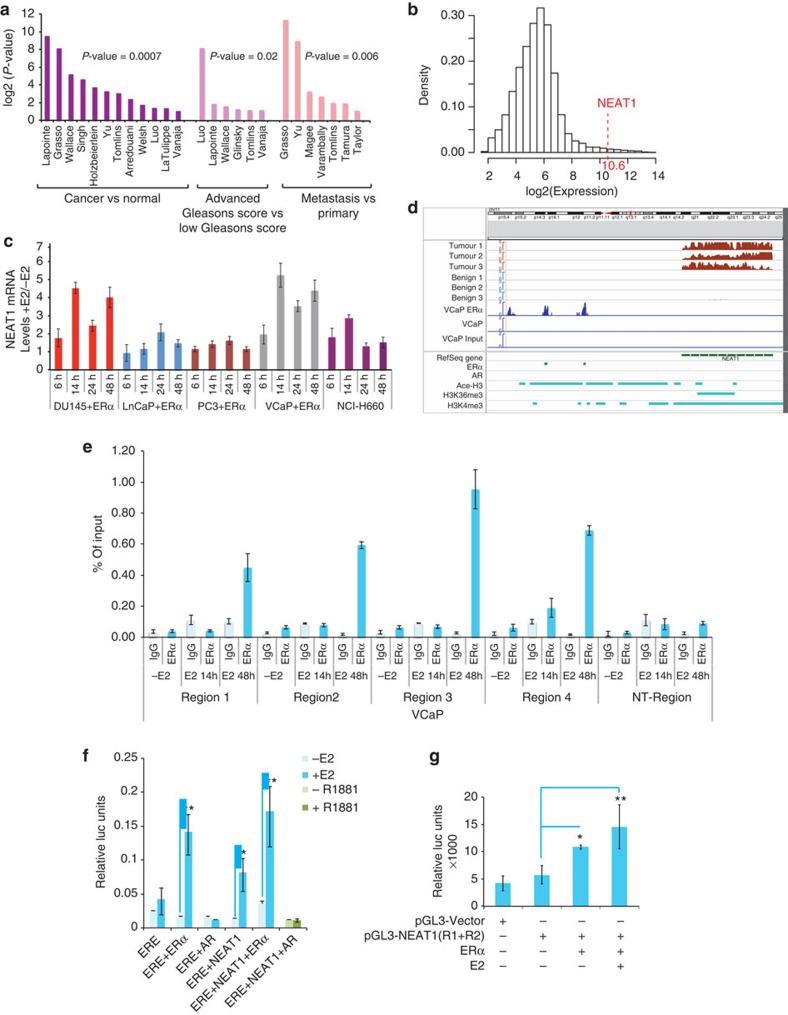 https://cdn.ncbi.nlm.nih.gov/pmc/blobs/183f/4263164/3d22a8b7e585/ncomms6383-f2.jpg