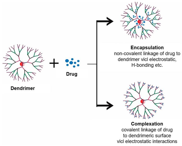 https://cdn.ncbi.nlm.nih.gov/pmc/blobs/1840/12299182/c54c98b78c8a/pharmaceuticals-18-00999-g002.jpg