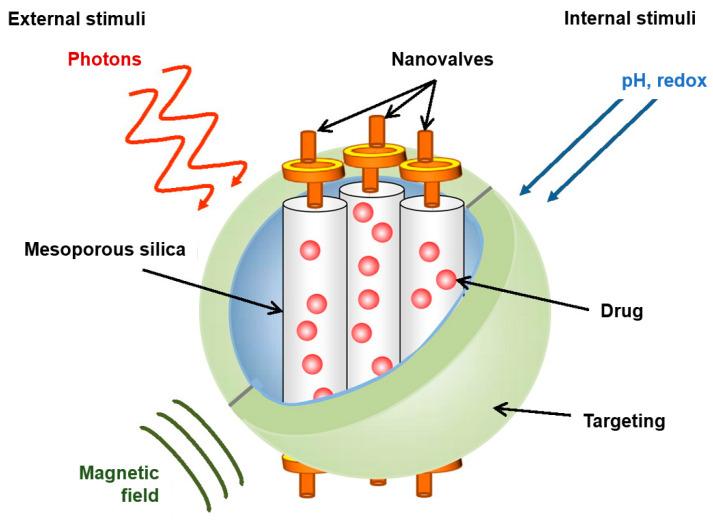 https://cdn.ncbi.nlm.nih.gov/pmc/blobs/1840/12299182/dfe06d8e763e/pharmaceuticals-18-00999-g004.jpg