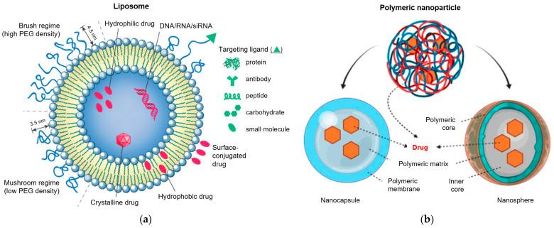 https://cdn.ncbi.nlm.nih.gov/pmc/blobs/1840/12299182/e60d78fbda1f/pharmaceuticals-18-00999-g001.jpg