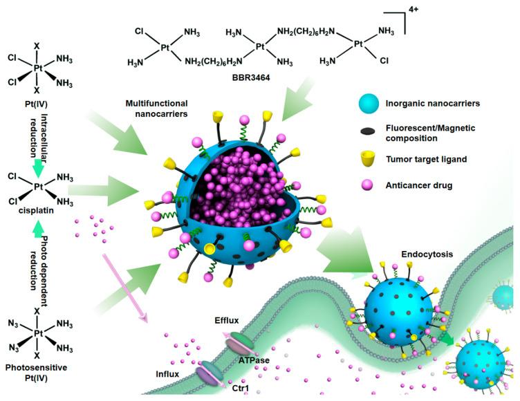 https://cdn.ncbi.nlm.nih.gov/pmc/blobs/1840/12299182/e930194f9969/pharmaceuticals-18-00999-g005.jpg