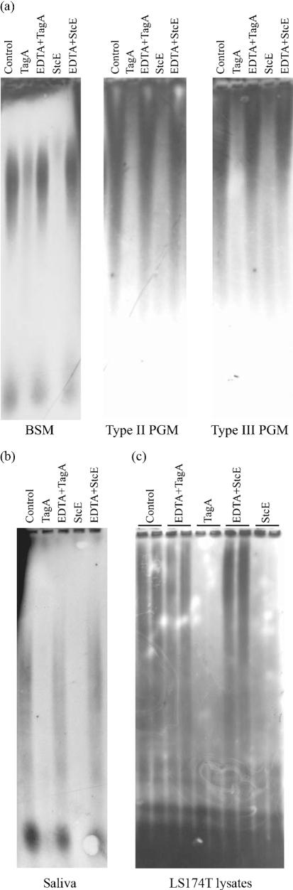 https://cdn.ncbi.nlm.nih.gov/pmc/blobs/1840/3090133/17de2e17dbf4/516fig2.jpg