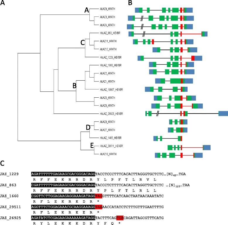 https://cdn.ncbi.nlm.nih.gov/pmc/blobs/1840/4274682/0042399b6372/12870_2014_341_Fig5_HTML.jpg