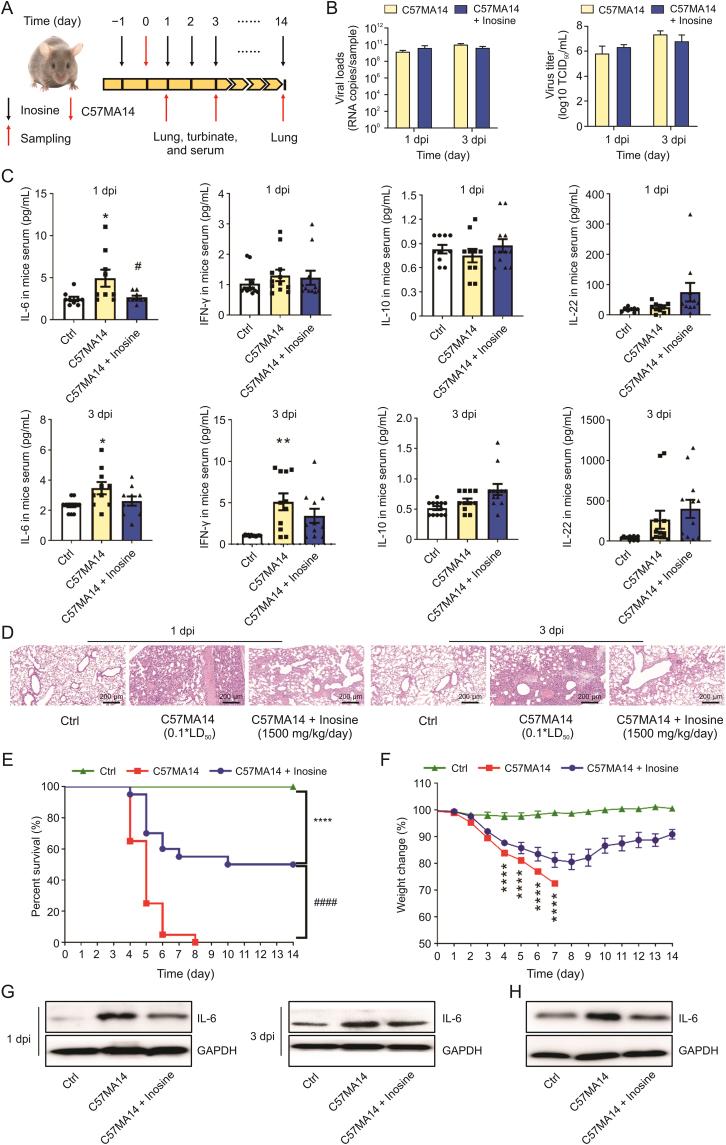 https://cdn.ncbi.nlm.nih.gov/pmc/blobs/1840/9937799/3650c837dec3/gr2.jpg