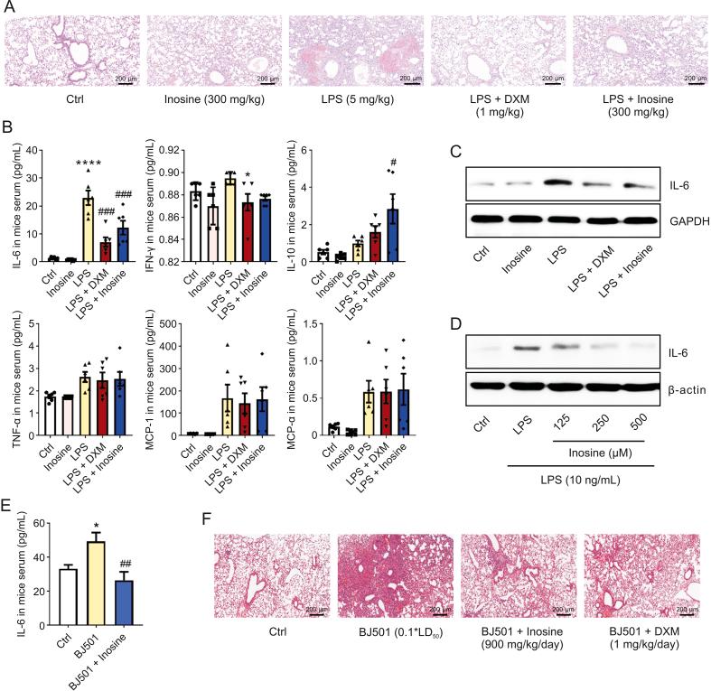https://cdn.ncbi.nlm.nih.gov/pmc/blobs/1840/9937799/48202b1dc712/gr1.jpg