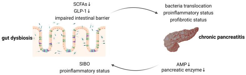 https://cdn.ncbi.nlm.nih.gov/pmc/blobs/1841/11434092/beee64709094/microorganisms-12-01760-g001.jpg