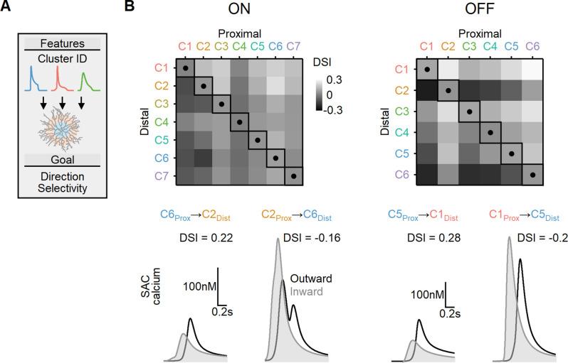 https://cdn.ncbi.nlm.nih.gov/pmc/blobs/1844/10752589/74612ee42bcc/elife-90456-fig9.jpg