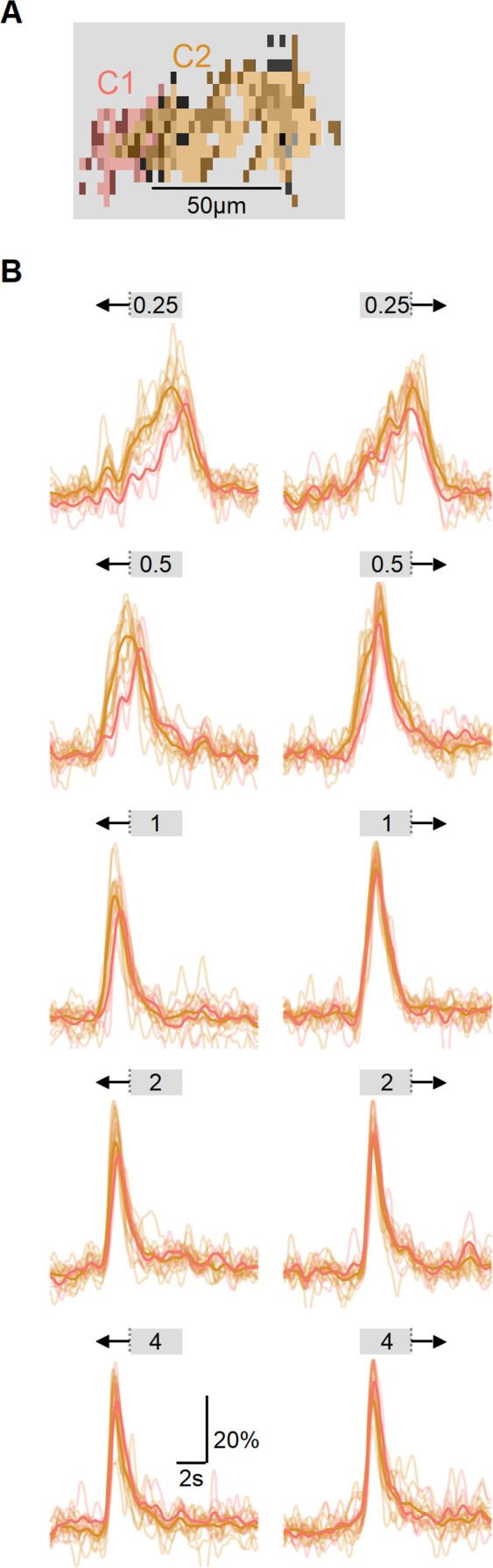 https://cdn.ncbi.nlm.nih.gov/pmc/blobs/1844/10752589/f4c6afb77bb7/elife-90456-fig6-figsupp3.jpg