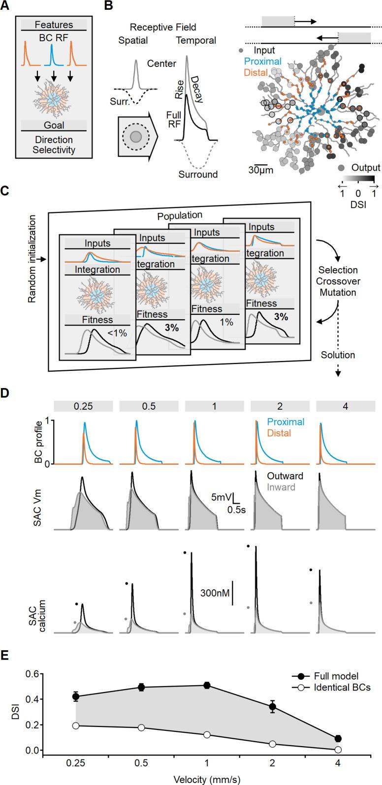 https://cdn.ncbi.nlm.nih.gov/pmc/blobs/1844/10752589/f69d2adbdbef/elife-90456-fig2.jpg