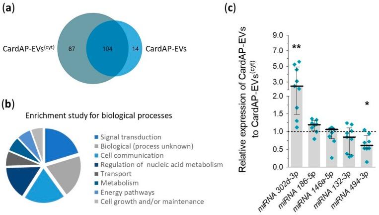 https://cdn.ncbi.nlm.nih.gov/pmc/blobs/1845/6940836/432e73a5a76e/ijms-20-06363-g005.jpg