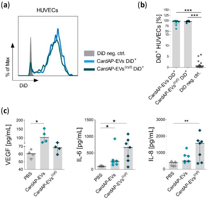 https://cdn.ncbi.nlm.nih.gov/pmc/blobs/1845/6940836/e757d2ab68a3/ijms-20-06363-g004.jpg
