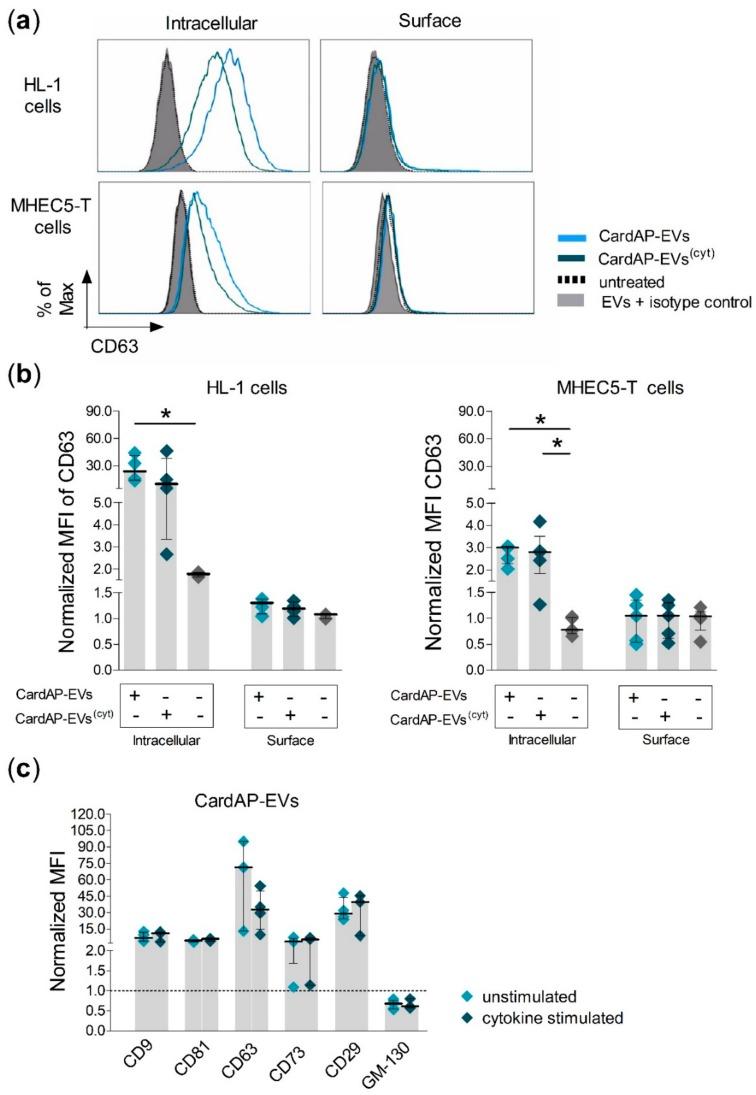 https://cdn.ncbi.nlm.nih.gov/pmc/blobs/1845/6940836/fa52d80dcb16/ijms-20-06363-g002.jpg
