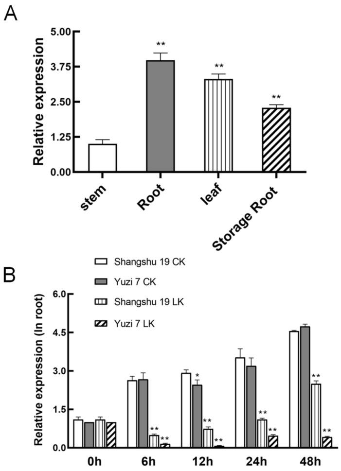 https://cdn.ncbi.nlm.nih.gov/pmc/blobs/1847/10346689/b2583893f241/plants-12-02422-g002a.jpg