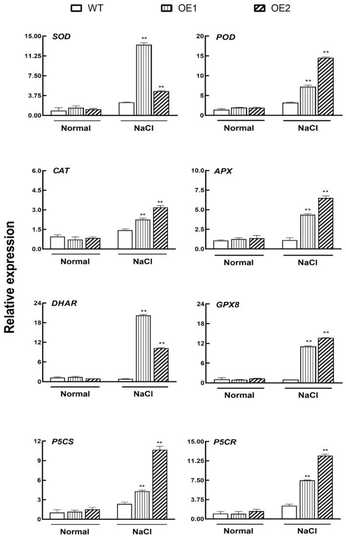 https://cdn.ncbi.nlm.nih.gov/pmc/blobs/1847/10346689/eb3d52b50fc8/plants-12-02422-g006.jpg