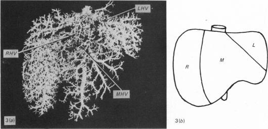 https://cdn.ncbi.nlm.nih.gov/pmc/blobs/1847/1167720/af831e2b2161/janat00221-0010-c.jpg