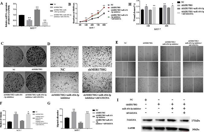 https://cdn.ncbi.nlm.nih.gov/pmc/blobs/1848/10625951/1aa0506037e4/12033_2023_706_Fig5_HTML.jpg