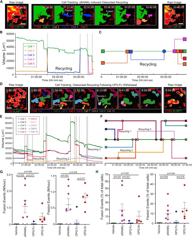 https://cdn.ncbi.nlm.nih.gov/pmc/blobs/184a/7938889/f96cf27cb3ca/gr4.jpg