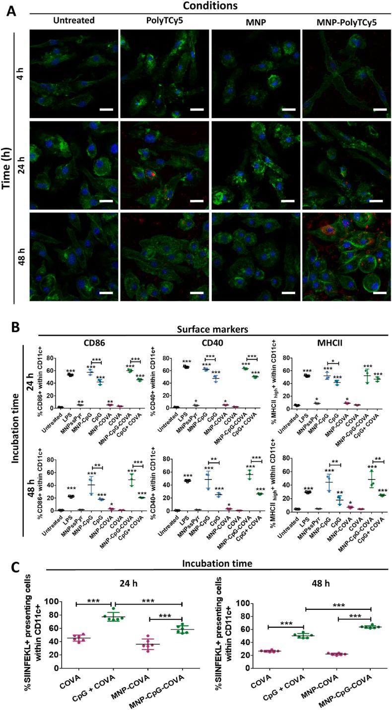 https://cdn.ncbi.nlm.nih.gov/pmc/blobs/184d/10562177/26d1ea0ce9e1/gr2.jpg