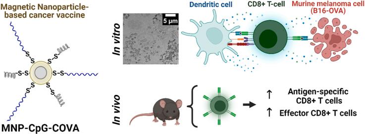 https://cdn.ncbi.nlm.nih.gov/pmc/blobs/184d/10562177/ab18091552d9/ga1.jpg