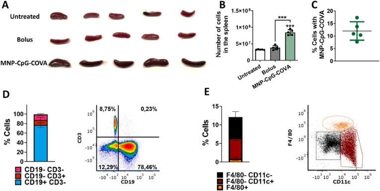 https://cdn.ncbi.nlm.nih.gov/pmc/blobs/184d/10562177/ff53d45fc9c0/gr5.jpg