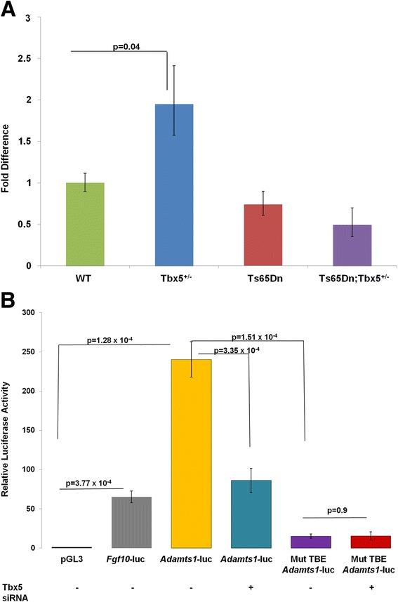 https://cdn.ncbi.nlm.nih.gov/pmc/blobs/184d/4514943/02168d5f93bd/12861_2015_80_Fig3_HTML.jpg