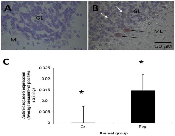 https://cdn.ncbi.nlm.nih.gov/pmc/blobs/184d/6236486/cf5e29435084/10.1177_1179066018809091-fig3.jpg