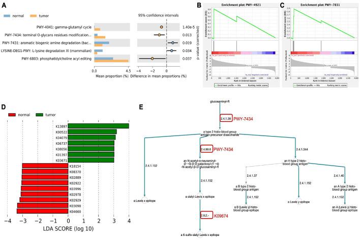 https://cdn.ncbi.nlm.nih.gov/pmc/blobs/184e/8495019/7c85434a62ab/fcell-09-727286-g002.jpg